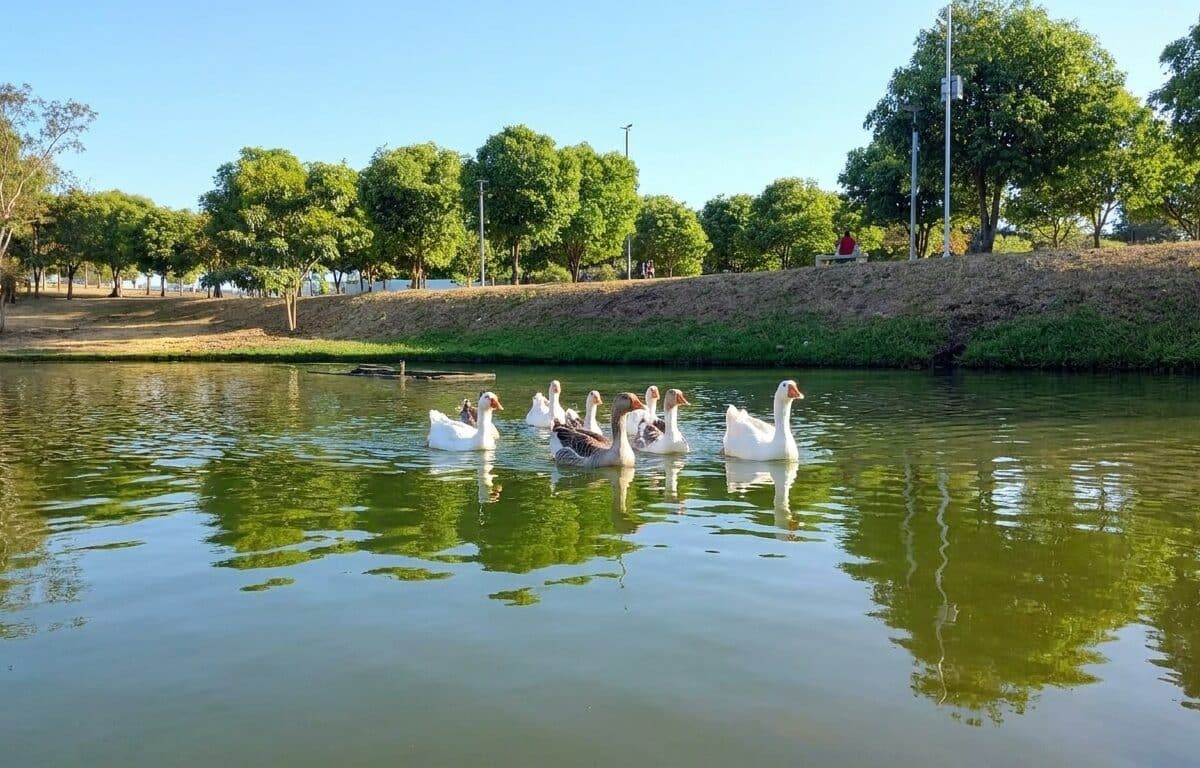 Nova Mutum aprova investimentos e cresce 15% em maio de 2026