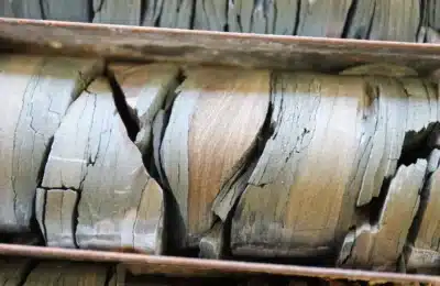 Darwin drill core l