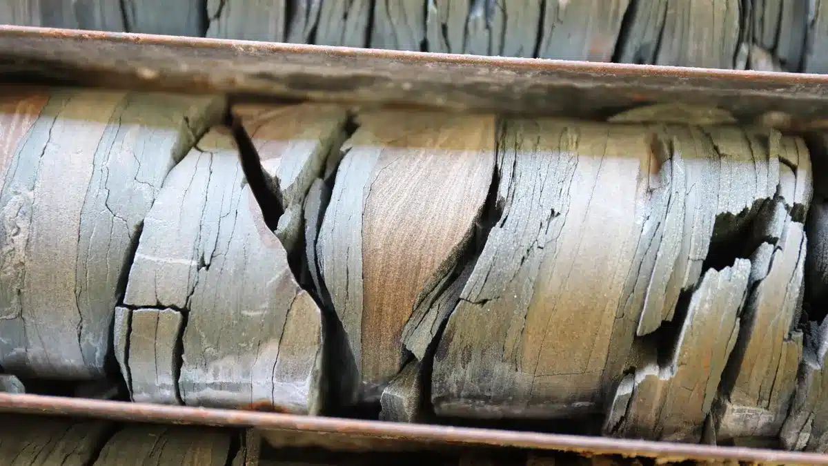 Darwin drill core l