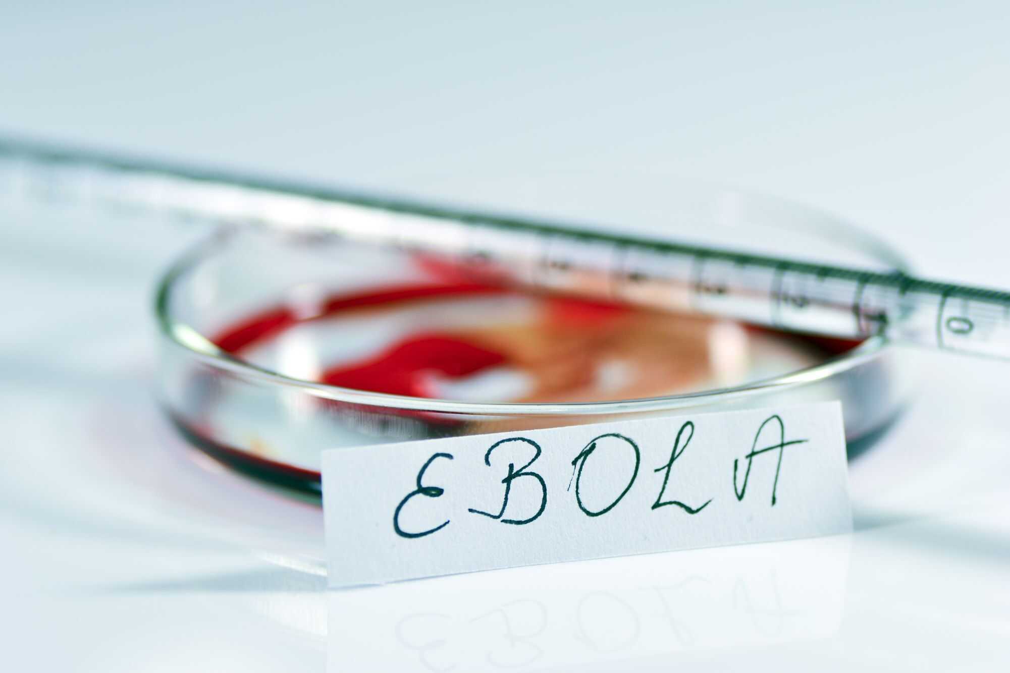 Ebola 1 1