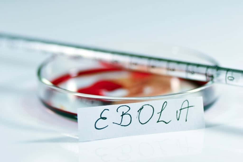 Ebola 1024×683 1