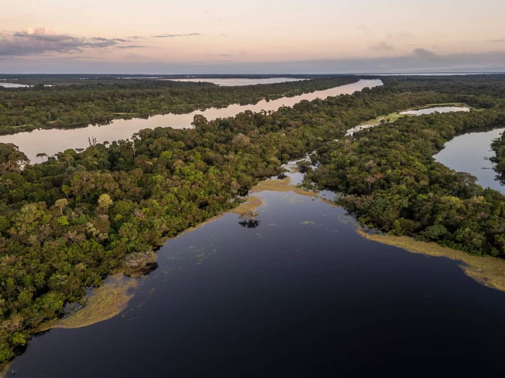 Floresta amazonica 1024×768 1
