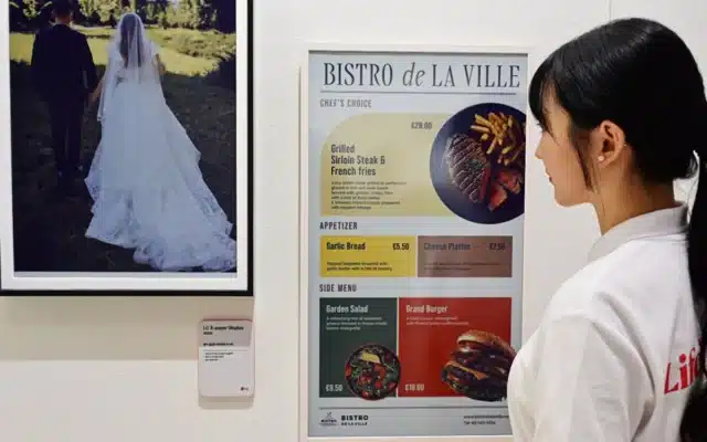 Lg display 640×400 1