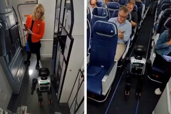 Robo aviao