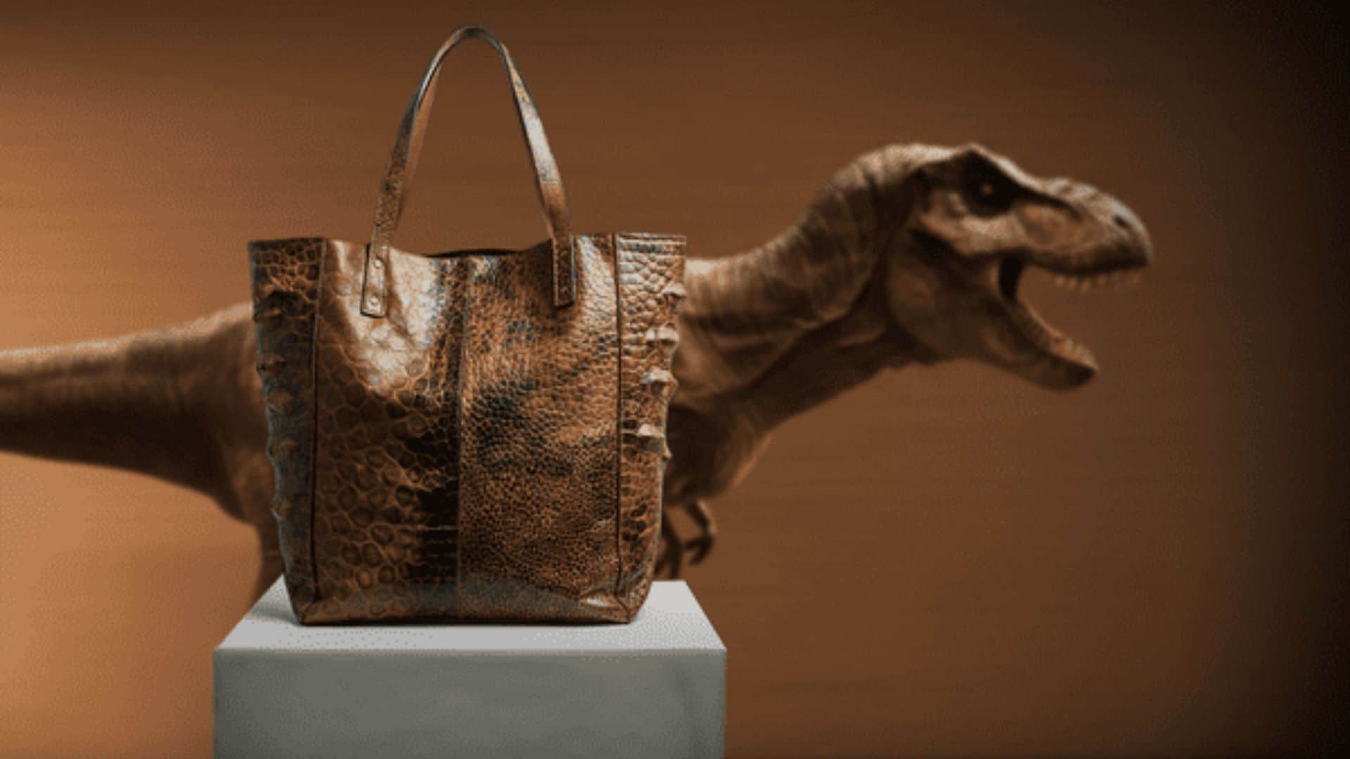Bolsa de T rex