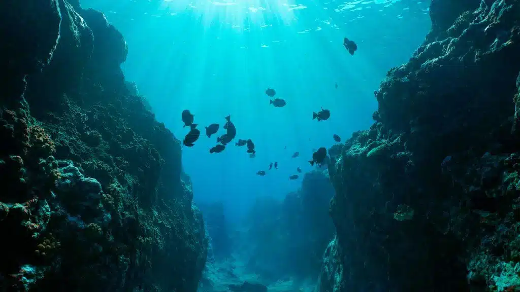 Destaque Fundo do oceano Pacifico 1024×576 1