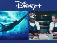 Disney 42