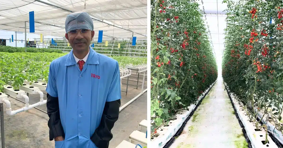 Brio hydroponics 2026 06 22 13 37 16