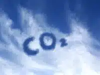 Carbonos