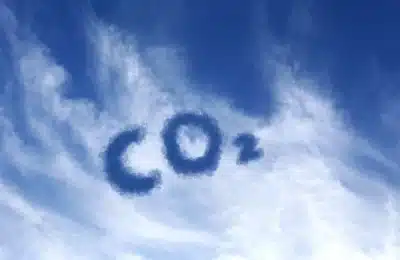 Carbonos