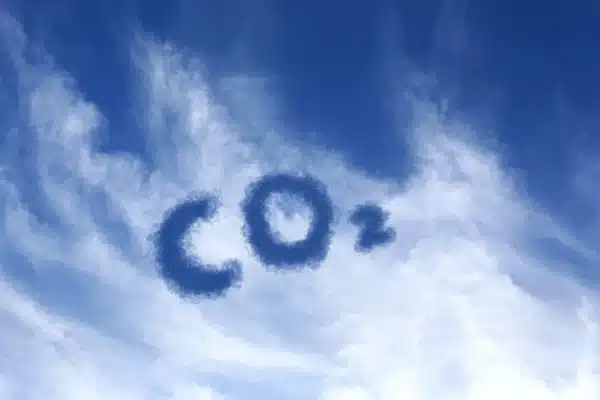 Carbonos
