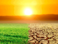 Crise climatica