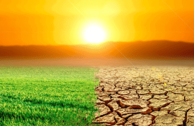 Crise climatica