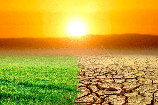 Crise climatica