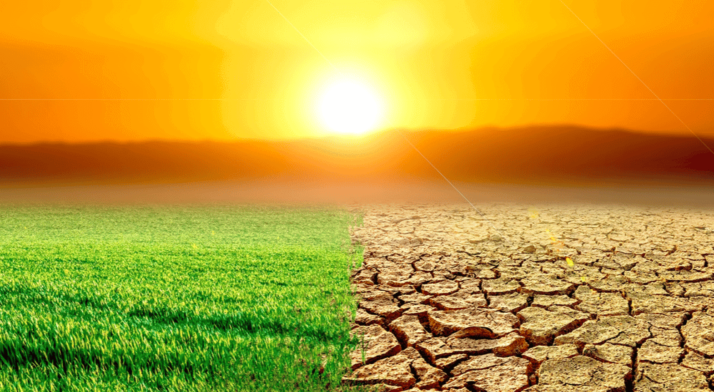 Crise climatica