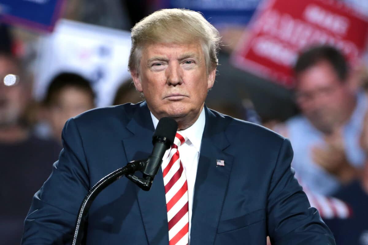 Donald trump comicio