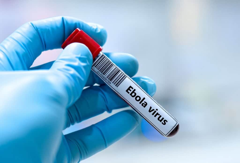 Ebola 1024×694 1