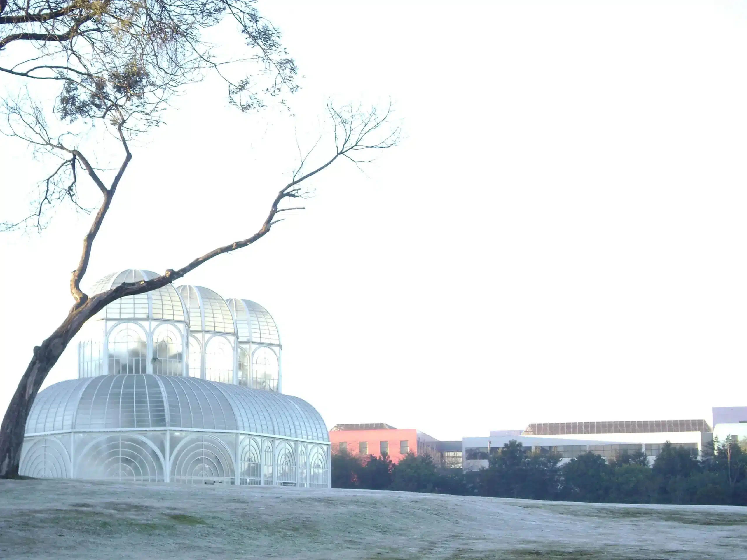 Inverno geada curitiba scaled 1