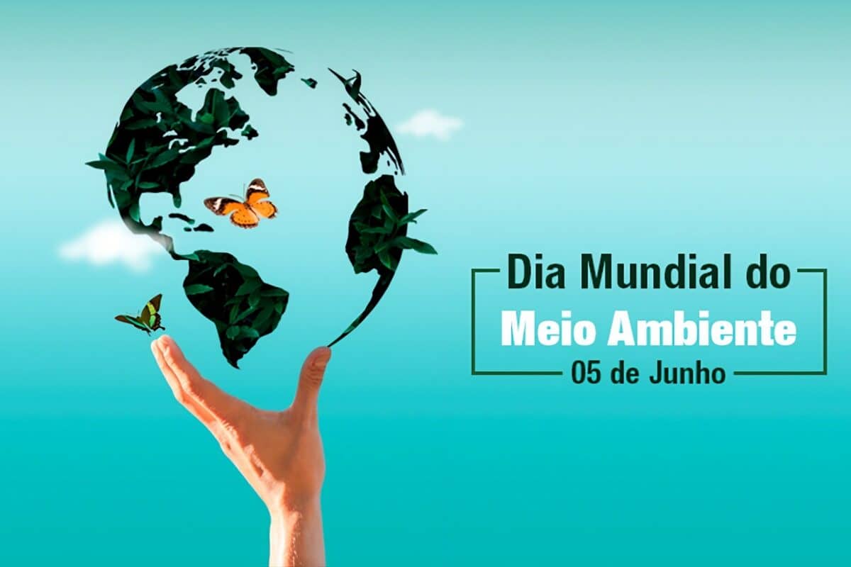 Meio ambiente 2