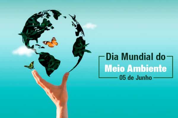 Meio ambiente 2