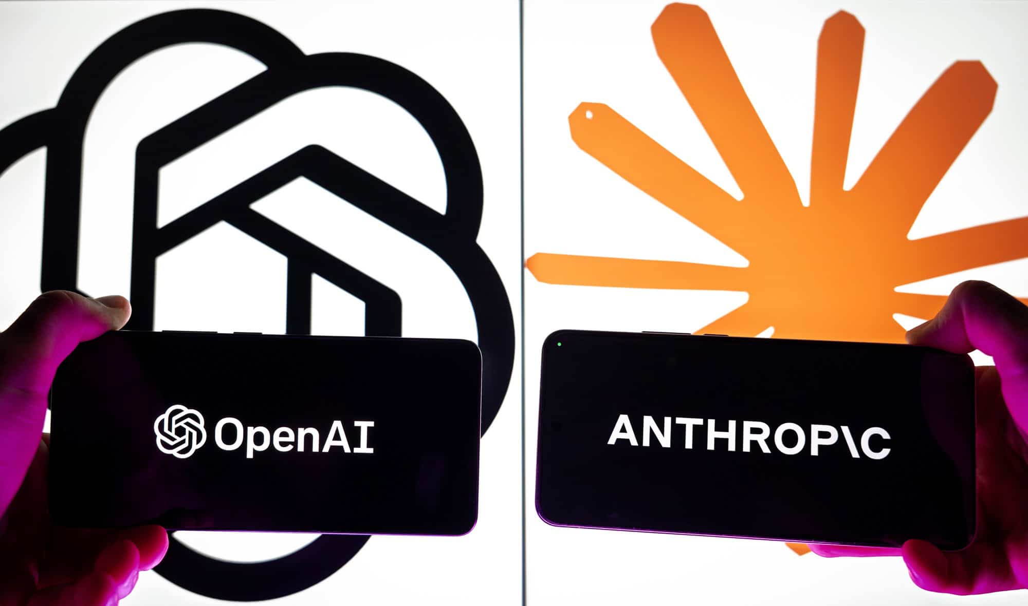 Openai x anthropic