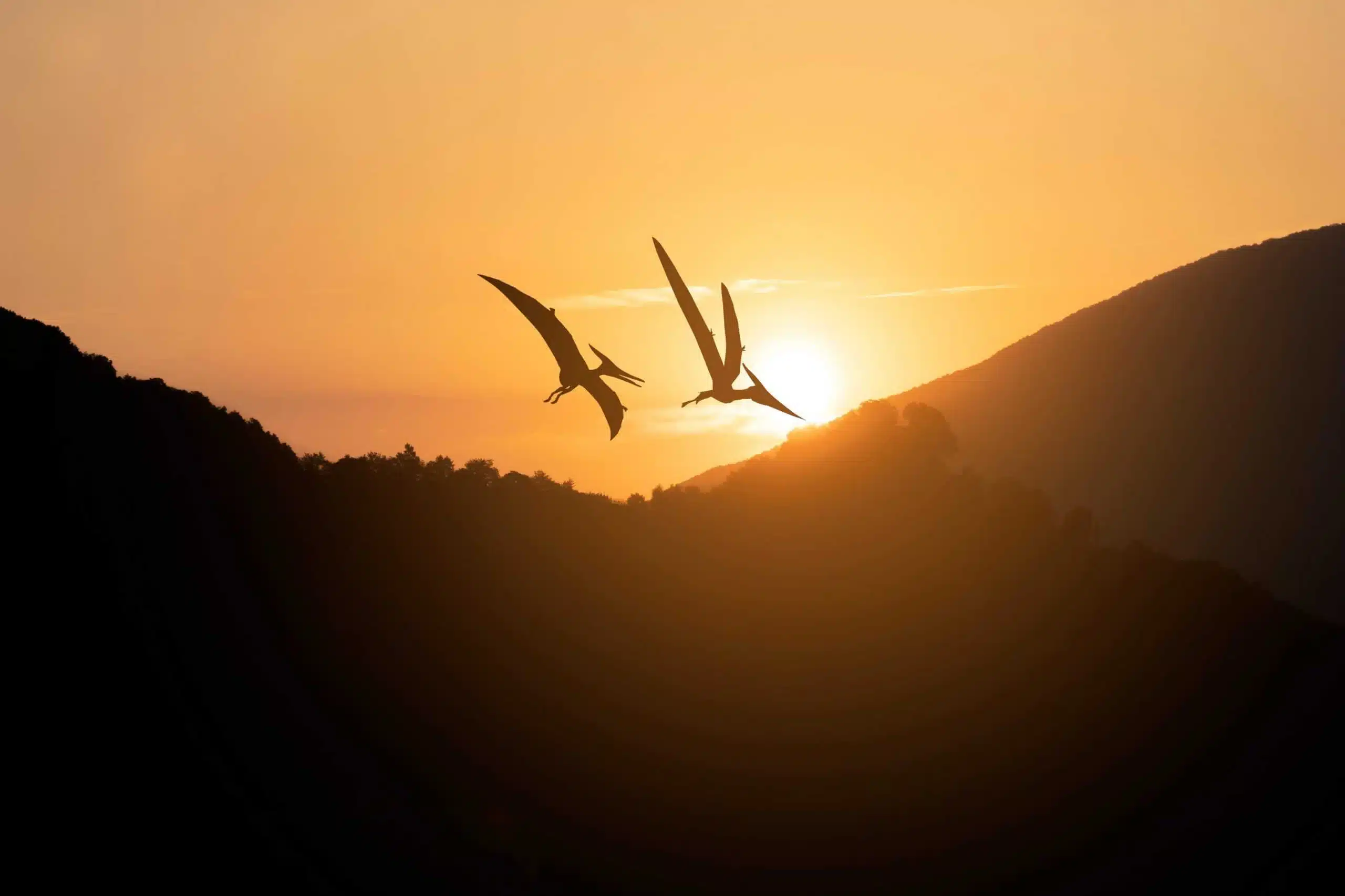 Pterodactilos scaled 1