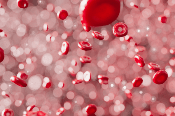 Sangue hemacias