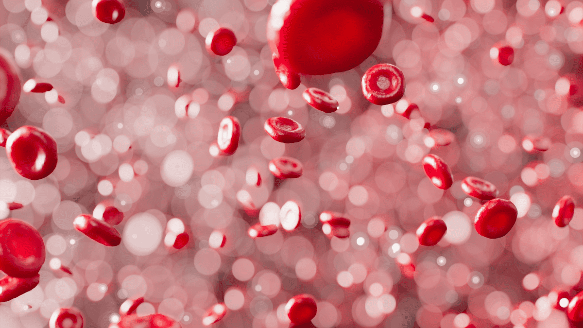 Sangue hemacias