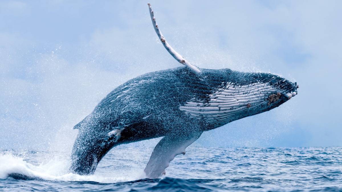 Shutterstock 211846078
