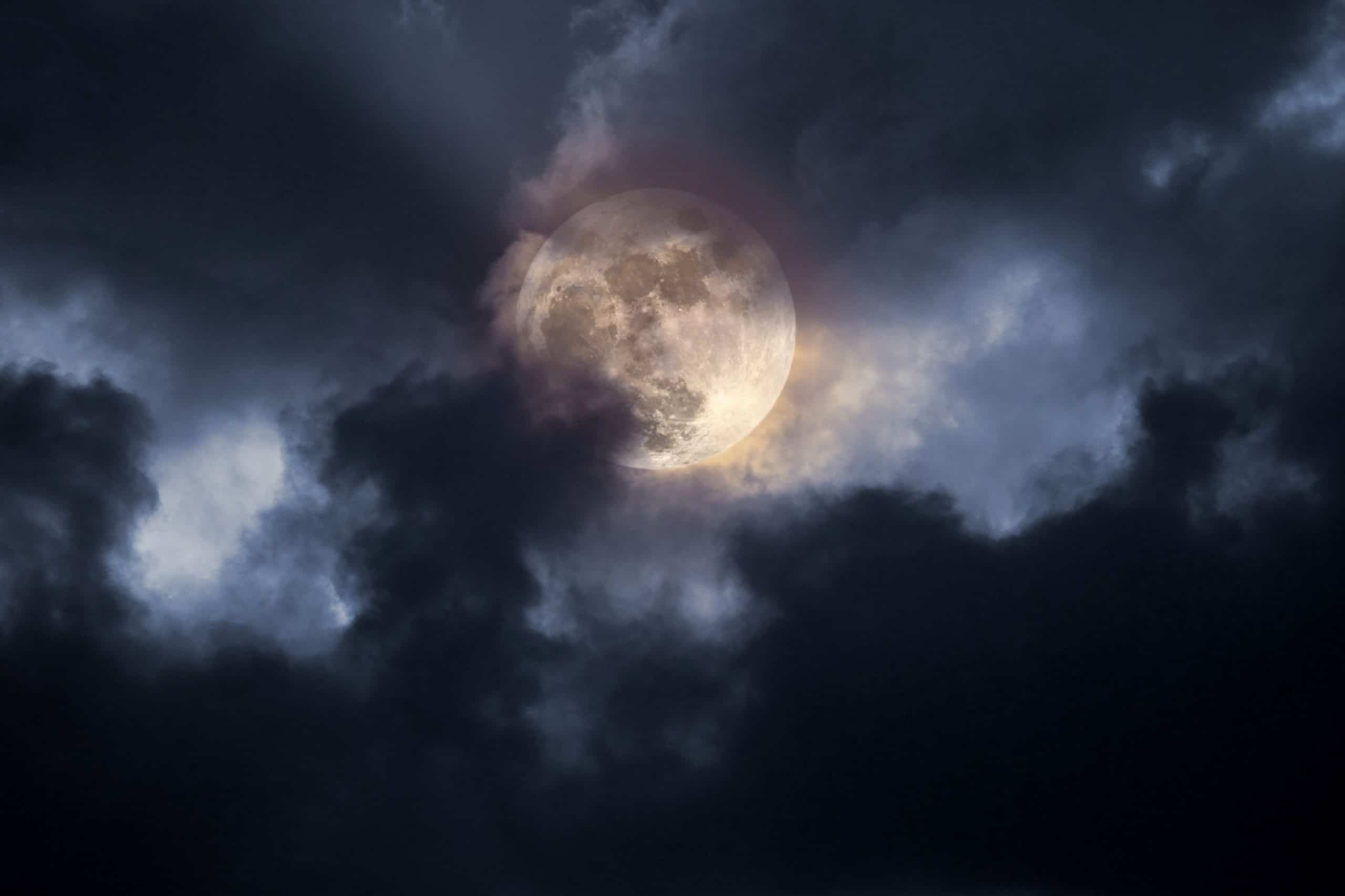 Shutterstock 2291109891 scaled 1