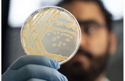 Tzi and his microbiome 4