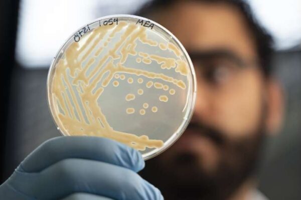 Tzi and his microbiome 4