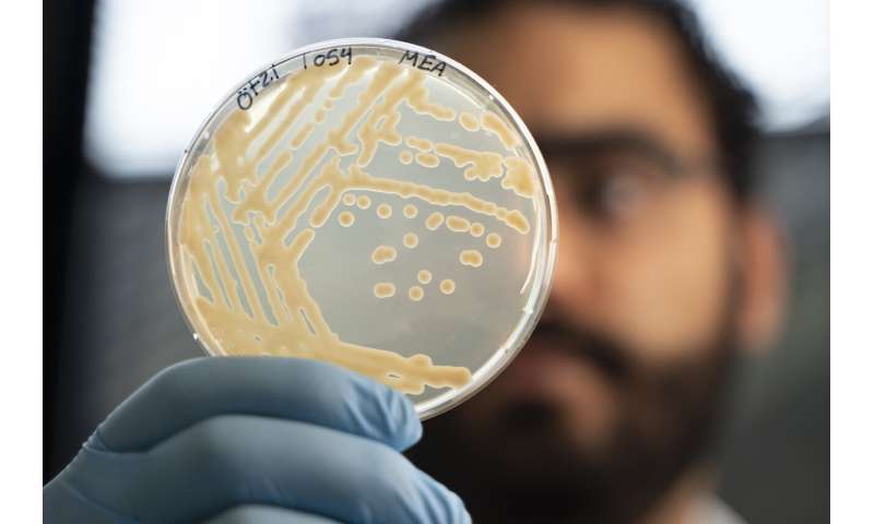 Tzi and his microbiome 4