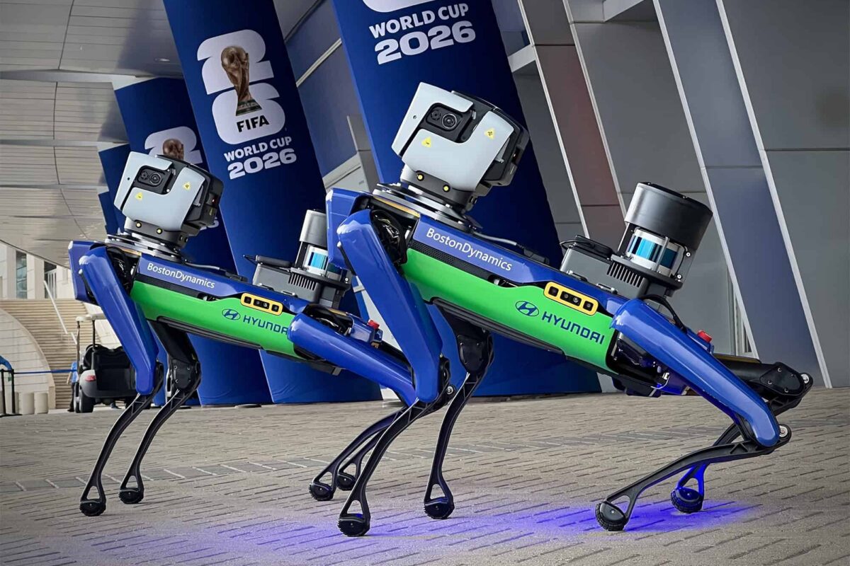 Spots world cup