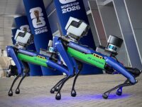 Spots world cup