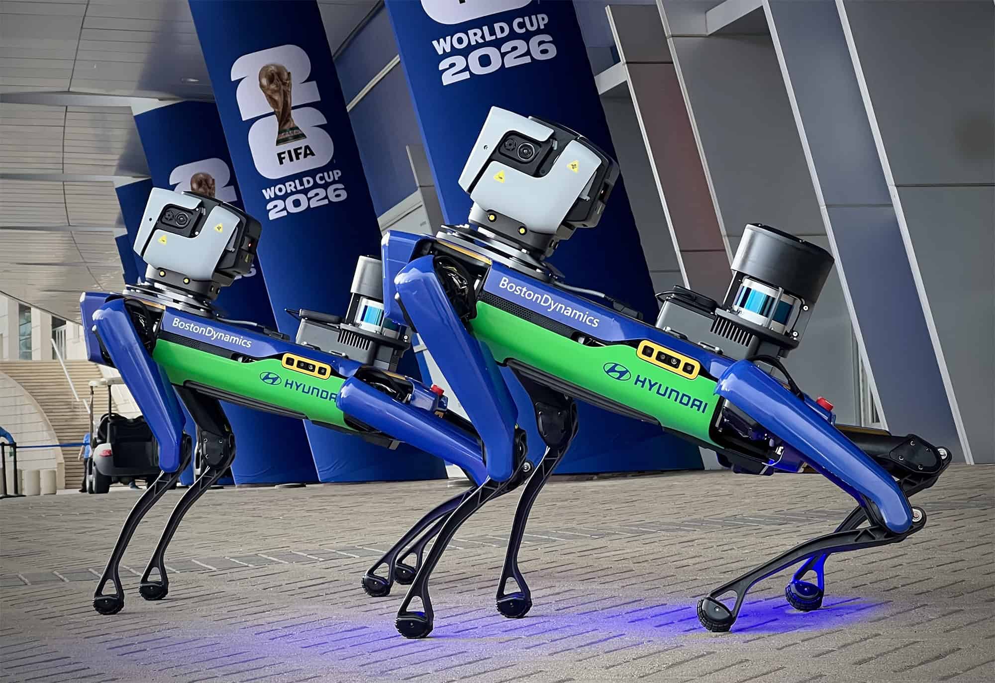 Spots world cup