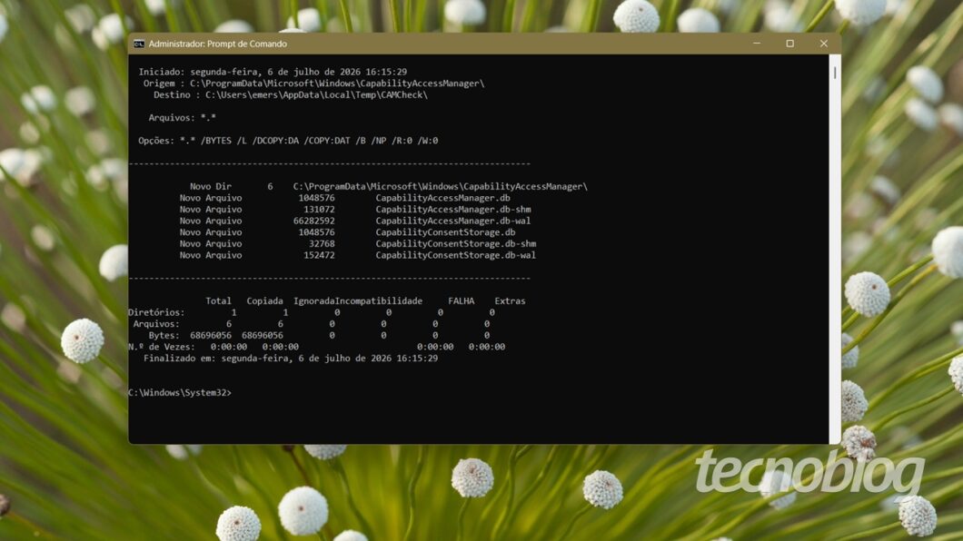 Windows 11 ocupacao bug 1060×596 1